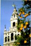 Alojamientos_apartamentos_hotel_hoteles_sevilla_apartments_lodgins_hotels_rooms_seville_spain