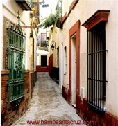 Calle de la Pimienta. Antiguas Casas del Maestro y del Torero. Barrio Santa Cruz. Sevilla