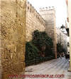 Murallas del Alcazar
