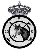 pineda_golf_sevilla_alojamientos_hoteles_lodgings_accommodations_hotels_seville_spain