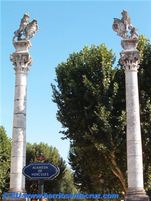 Alameda_hercules_sevilla_apartamentos_alojamientos_hoteles_apartments_lodging_hotels_accommodations_seville_spain