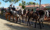 Feria de Abril de Sevilla